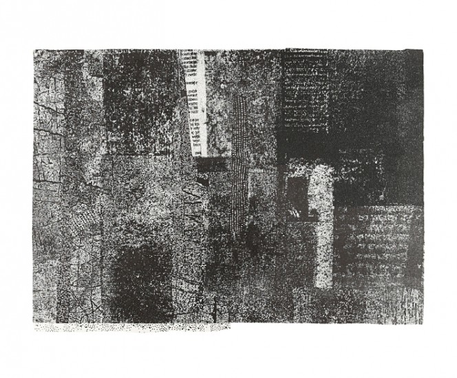 Herbārium VII | litografia | 36 x 49 cm | 2016